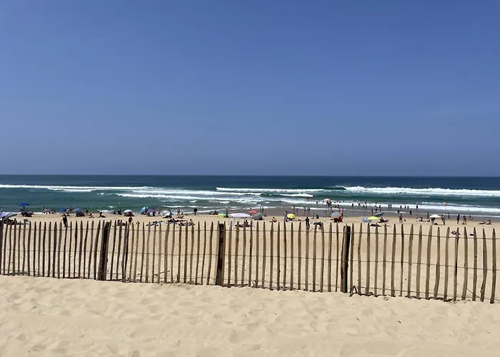 דירה Confortable 4 Pers Avec Terrasse Et Acces Piscine A Vieux-boucau - Fr-1-379-153